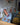 VAULTROOM LIVING BLANKET - vaultroom 公式オンラインストア