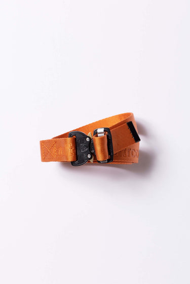 VAULTROOM NYLON BELT / ORG - vaultroom 公式オンラインストア