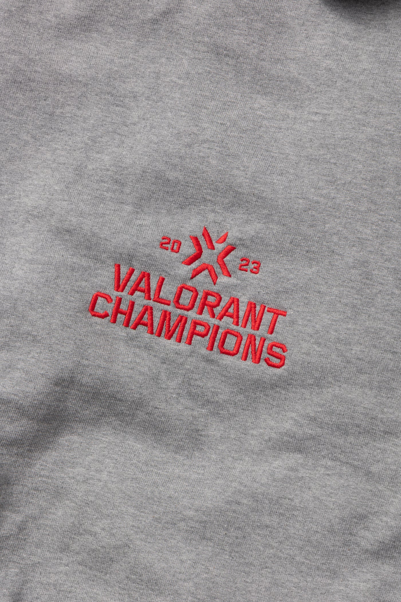 VR × VALORANT CHAMPIONS HOODIE / GRY XL