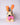 KEYDOG SOFT TOY - vaultroom 公式オンラインストア