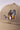 TOON LOGO CAP / BGE - vaultroom 公式オンラインストア