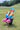 VAULTROOM ICON HEAD COVER - vaultroom 公式オンラインストア